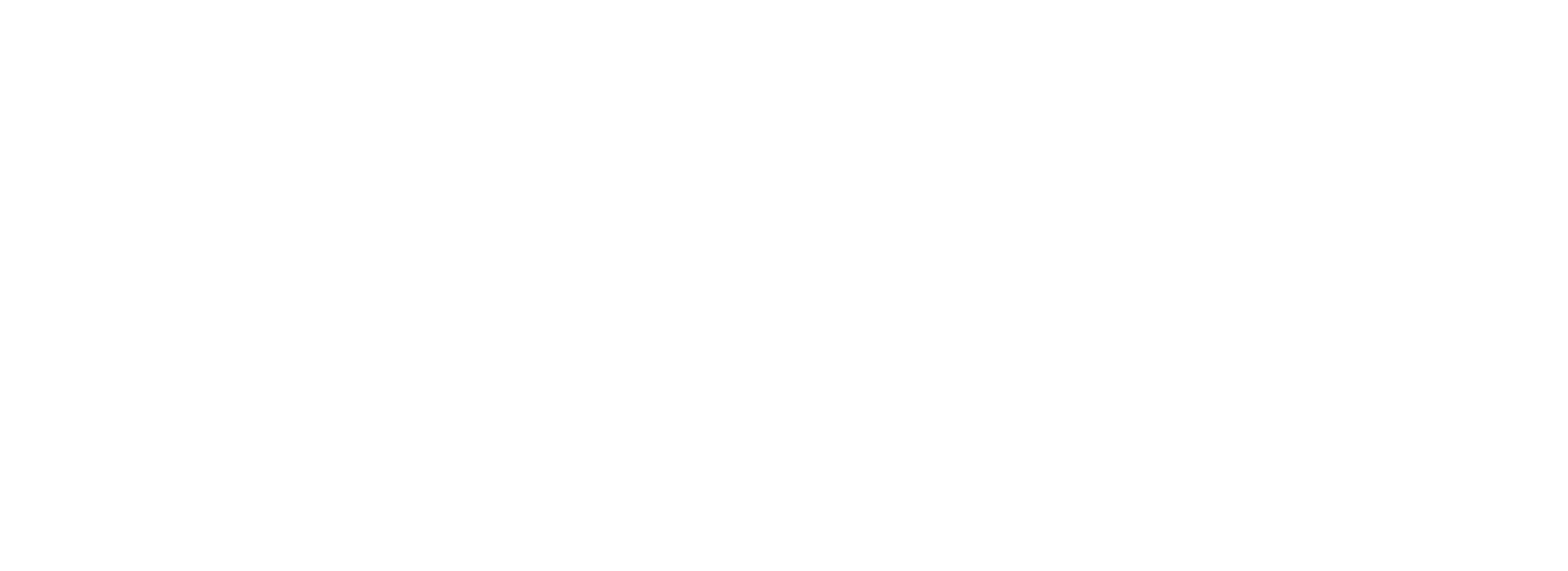 Orbitex Footer Logo